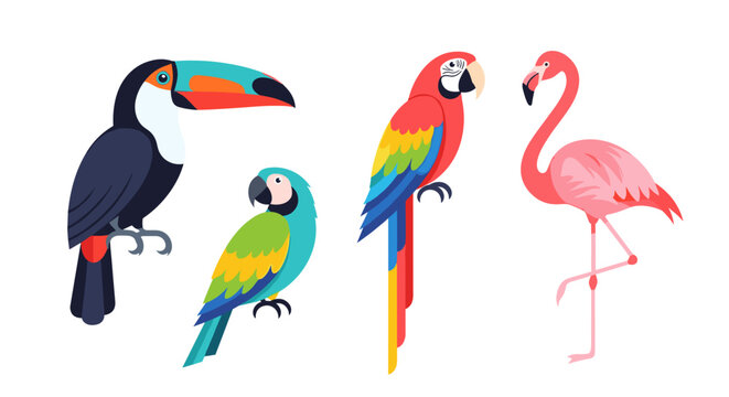 Colorful birds side by side.