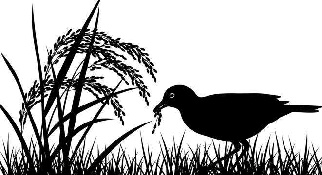 Black silhouette of a bird eating.