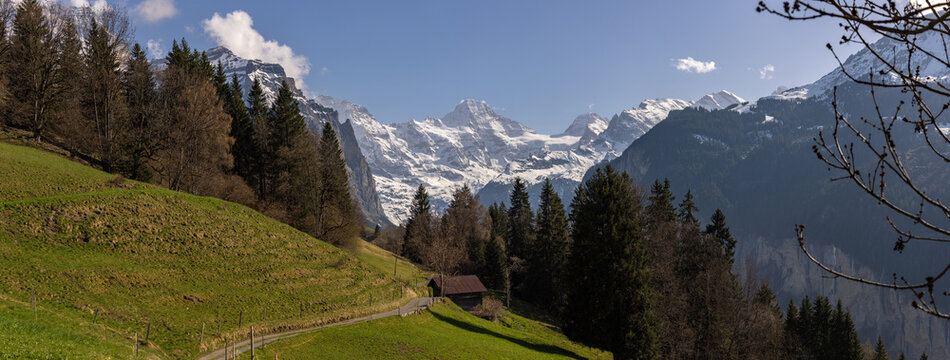 Un panorama de montagnes enneig&eacute;es domine une vall&eacute;e avec des chalets et une for&ecirc;t, sous un ciel clair qui met en valeur la beaut&eacute; du paysage alpin. Grindelwald, Suisse
