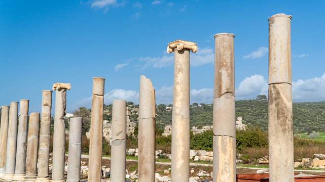 A row of ancient Ionic columns lining the colonnaded street at Patara archaeological site, Antalya, Turkey