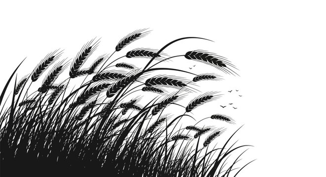 Black silhouette of grass and reeds.