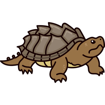 Cute Cartoon Alligator Snapping Turtle