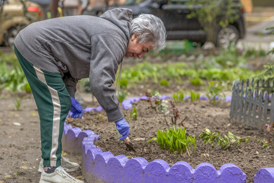 Active senior woman gardening in the backyard