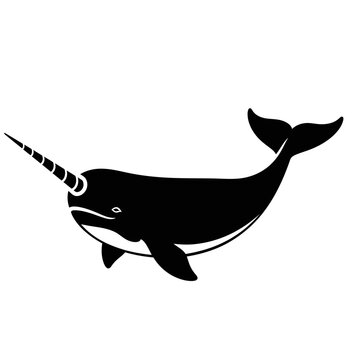 Black and white illustration of a narwhal with a long tusk swimming in the ocean.