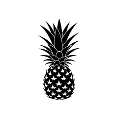 Obraz premium Black and white pineapple illustration showcasing its intricate details and texture.
