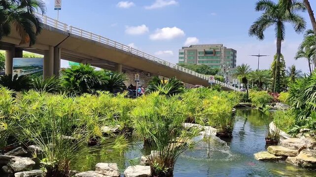 Pond and tropical plants at ornamental lake located at the entrance of the airport of guayaquil city, ecuador
