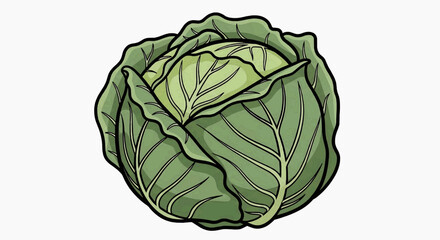 Obraz premium A vibrant green cabbage grows in a lush garden environment outdoors.