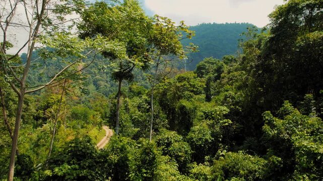 Dense tropical rainforest with distant view of Catarata Diamante watefall in Costa Rica