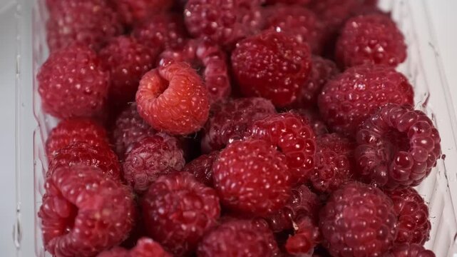 Close up view of fresh ripe red raspberries piled inside a clear plastic punnet with water droplets. Concept of healthy eating, vitamin rich diet, and organic summer berry harvest.