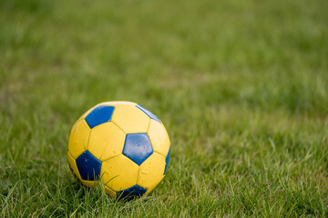 Obraz premium Blue and yellow soccer ball on grass 