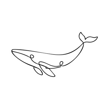 Continuous Line Art Whale Illustration on White Background