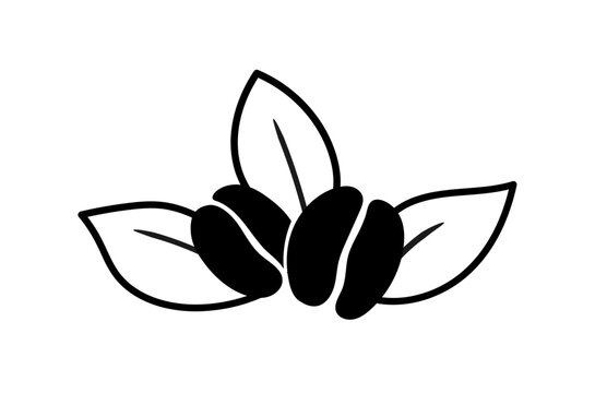 オーガニックコーヒー豆のアイコン