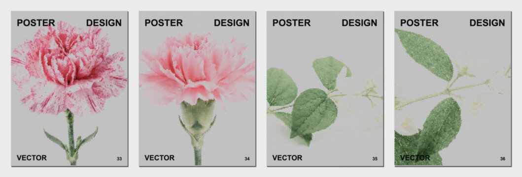 Pink carnation flower halftone dots botanical plant bloom spring nature garden soft