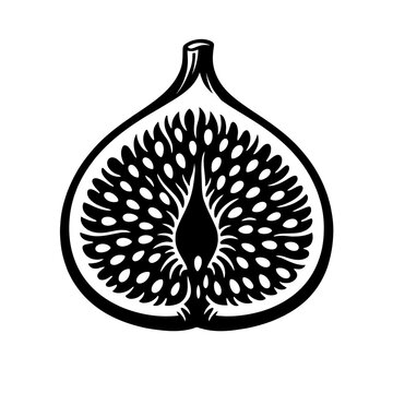 Black and white illustration of a cut fig fruit with seeds