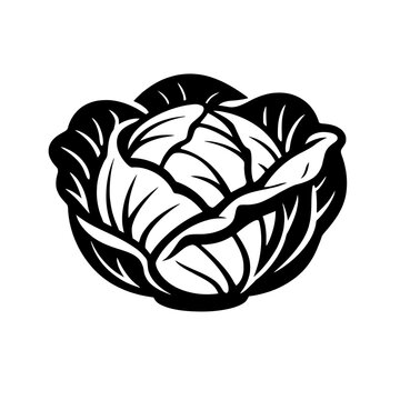 Black and white illustration of a cabbage head with large leaves, a vegetable icon or logo