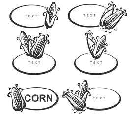 Fototapeta premium Corn label and element set. Collection icon corn. Vector
