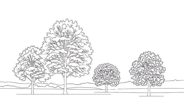 Landscape illustration of trees in a field using 2D AutoCAD