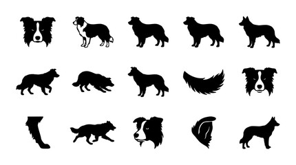 Obraz premium Border Collie Dog Icons, Silhouettes, and Head Portraits, Vector Set for Pet Lovers