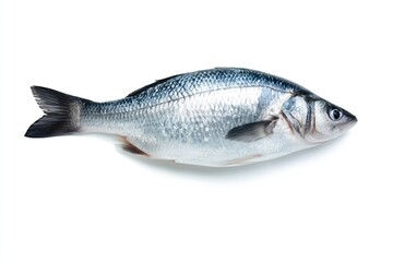 Obraz premium Fish Lies on White Surface With Shiny Skin and Intact Features for Display or Culinary Use