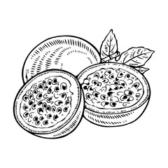 Passion Fruit Line Art Vector – Tropical Maracuya Outline, Minimal Exotic Fruit Illustration © PNdesigns