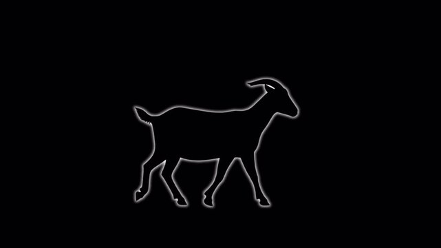 Domestic goat walking cycle minimalist black and white silhouette and outline animation loopable sequence for motion graphics and farm animal character design