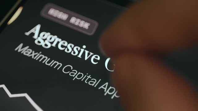 Aggressive Growth financial investment strategy with a High level of risk