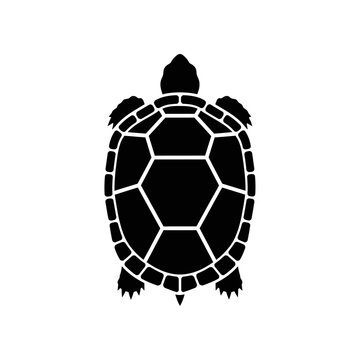 Black turtle silhouette isolated on white background, top view, simple design.