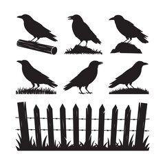 Obraz premium Set of six black silhouette crows perched on grass logs rocks a rustic wooden fence below with silhouette