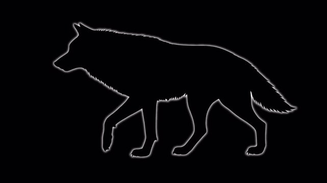 Walking Wolf Minimalist Silhouette and White Outline Animation Graphic Motion Design Element