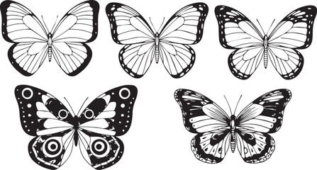 Detailed Butterfly Wing Pattern Illustration Set featuring Symmetric Insect Silhouettes, Nature Conservation Graphics, Spring Meadow Biology Elements, and Decorative Lepidoptera Vector Designs © AponChandro