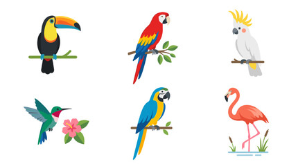 vector A vibrant array of six exotic tropical birds, including a toucan, macaws, and a flamingo. © Maicon