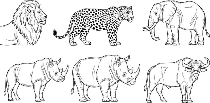 Illustration of African Big Five Animals including Lion, Leopard, Elephant, Rhino, and Buffalo in Black and White Line Art for Wildlife Designs