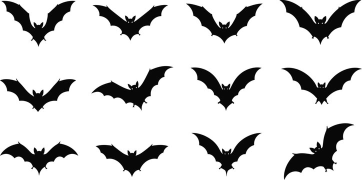 Collection of black bat silhouettes in various flying poses against a white background, animal