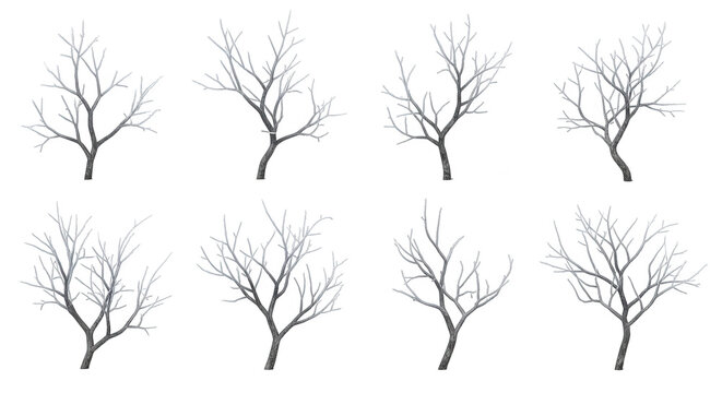 eight bare trees stand isolated on a white background winter useful for design backgrounds and conceptual art