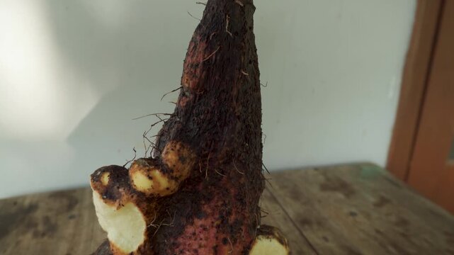 Fresh Root Vegetables with Soil on Rustic Wooden Table