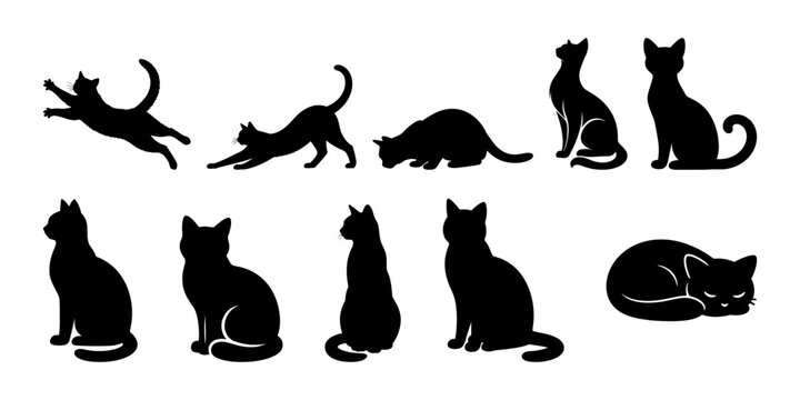 Domestic cat silhouette set, sitting jumping running sleeping poses, black feline vector