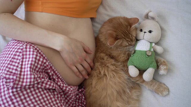Ginger cat lying in bed next to a pregnant woman's belly, cuddling with a cute crocheted bunny toy while the future mother gently caresses her tummy and her beloved pet