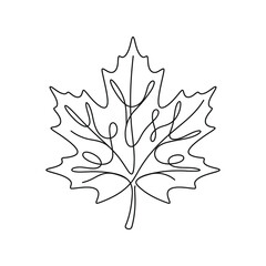 Fototapeta premium Maple Leaf Line Art Minimal Design