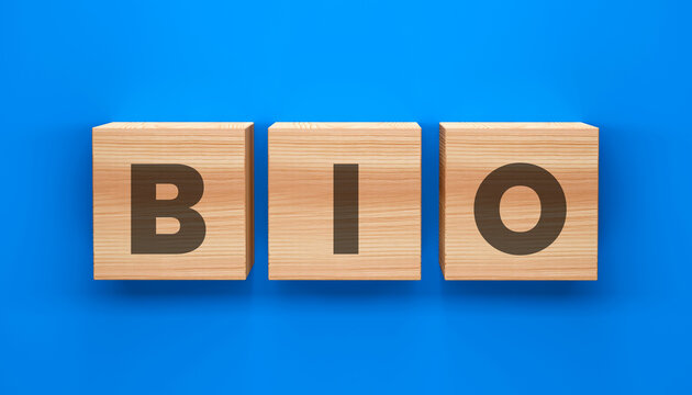 Biography Information Concept Displayed with Wooden Letter Blocks Representing Personal Profiles Professional Background Identity and Career Overview