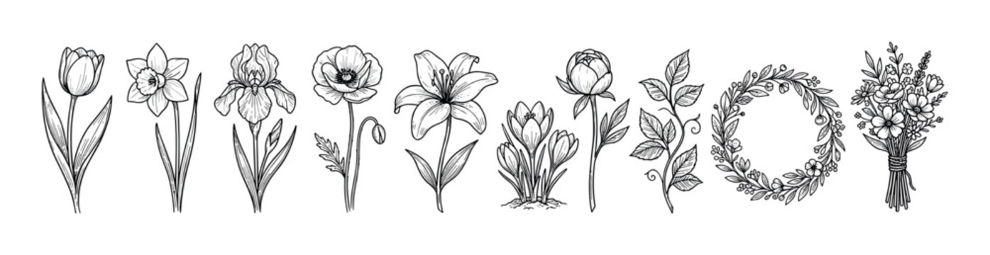 Beautiful collection of hand-drawn spring flowers featuring tulip, daffodil, iris, poppy, lily, and peony in a detailed black and white botanical line art illustration