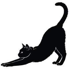 Domestic cat silhouette stretching in a morning pose for animal behavior © HaMdRakibulIslam