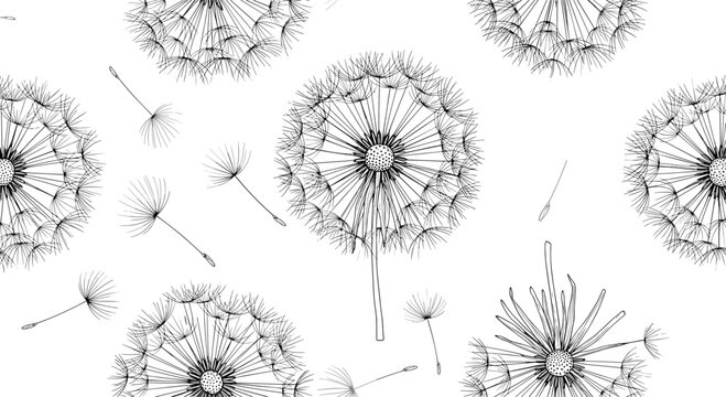 Seamless pattern of dandelion seed heads in black and white line art style for nature background and floral textile design.