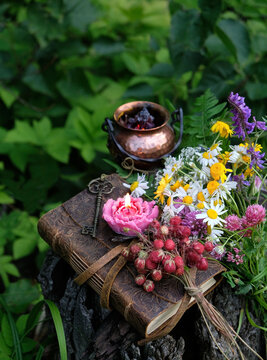 floral candle, copper cauldron, witch book, key, berries, flowers in forest, nature background. botany, study of herbs, plants. Green witch. witchcraft. spiritual esoteric ritual, practical magic
