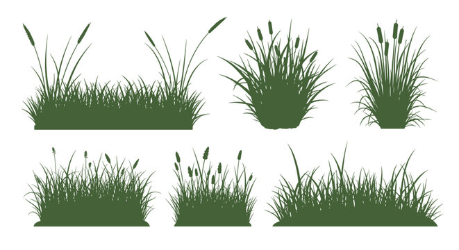 Set of green grass and reed silhouettes in various clusters and heights isolated on a clean white background.