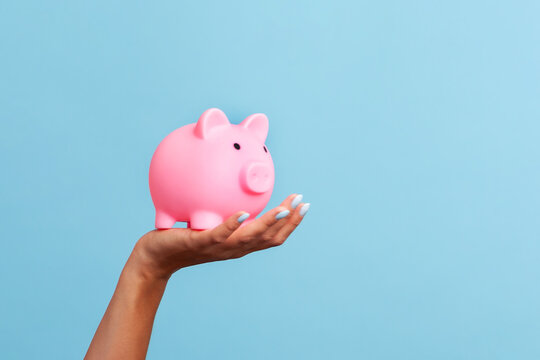 Close up of female hand holding small plastic pig money box on palm for financial concept isolated on blue background