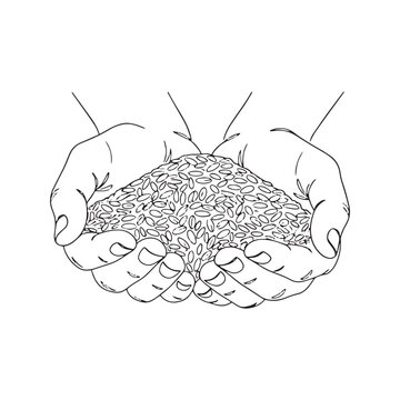 Continuous line drawing of two hands holding handful of grain seeds. Minimalist linear agriculture and harvest vector illustration.
