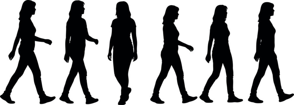 Evolution of woman silhouette a visual representation of changing body shapes over time