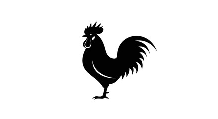 Fototapeta premium Black Silhouette Rooster Standing Isolated on White Background