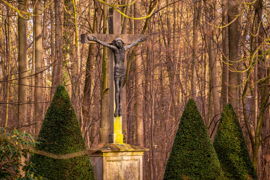 Zwischen stillen Baumst&auml;mmen und dem goldenen Licht des Nachmittags steht das Kreuz wie ein stiller Gedanke, den der Wald seit Jahrhunderten bewahrt. Die sorgf&auml;ltig geformten Eiben wirken wie schweige
