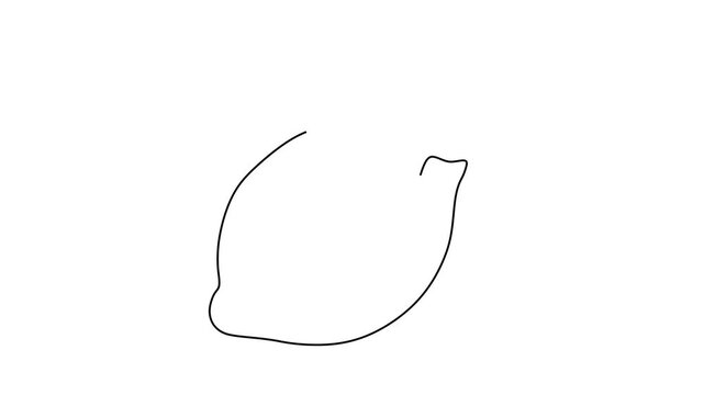 Animated self drawing of continuous line draw of Lemon continuous line drawing. One single line organic healthy fruit concept.    Full length one line animation. 4K